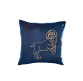 baran2-removebg-preview.png