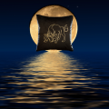 Poduszka ze znakiem zodiaku byk Ola Melcer